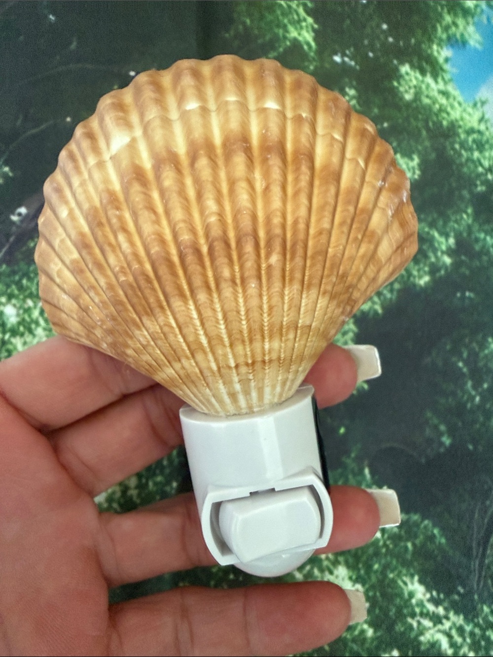 Seashell Night Light Plug-In - Natural Tan Shell